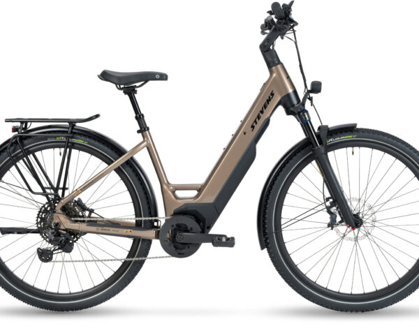 E-Universe 9.8.1 Plus FEQ Forma Honey Brown