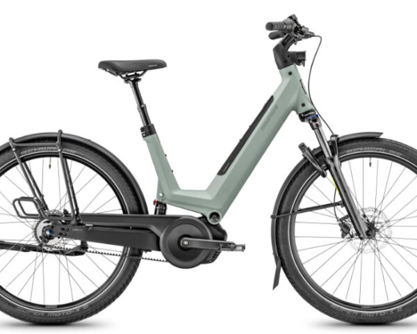 MOUSTACHE Mardi 27.4 FS Green Argile