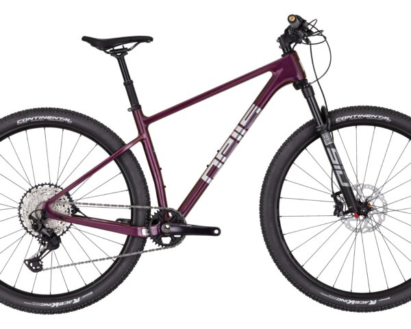 PELLS Duke 1 Eggplant